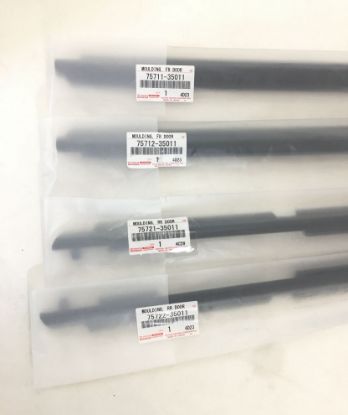 Picture of Belt Molding Weatherstrip